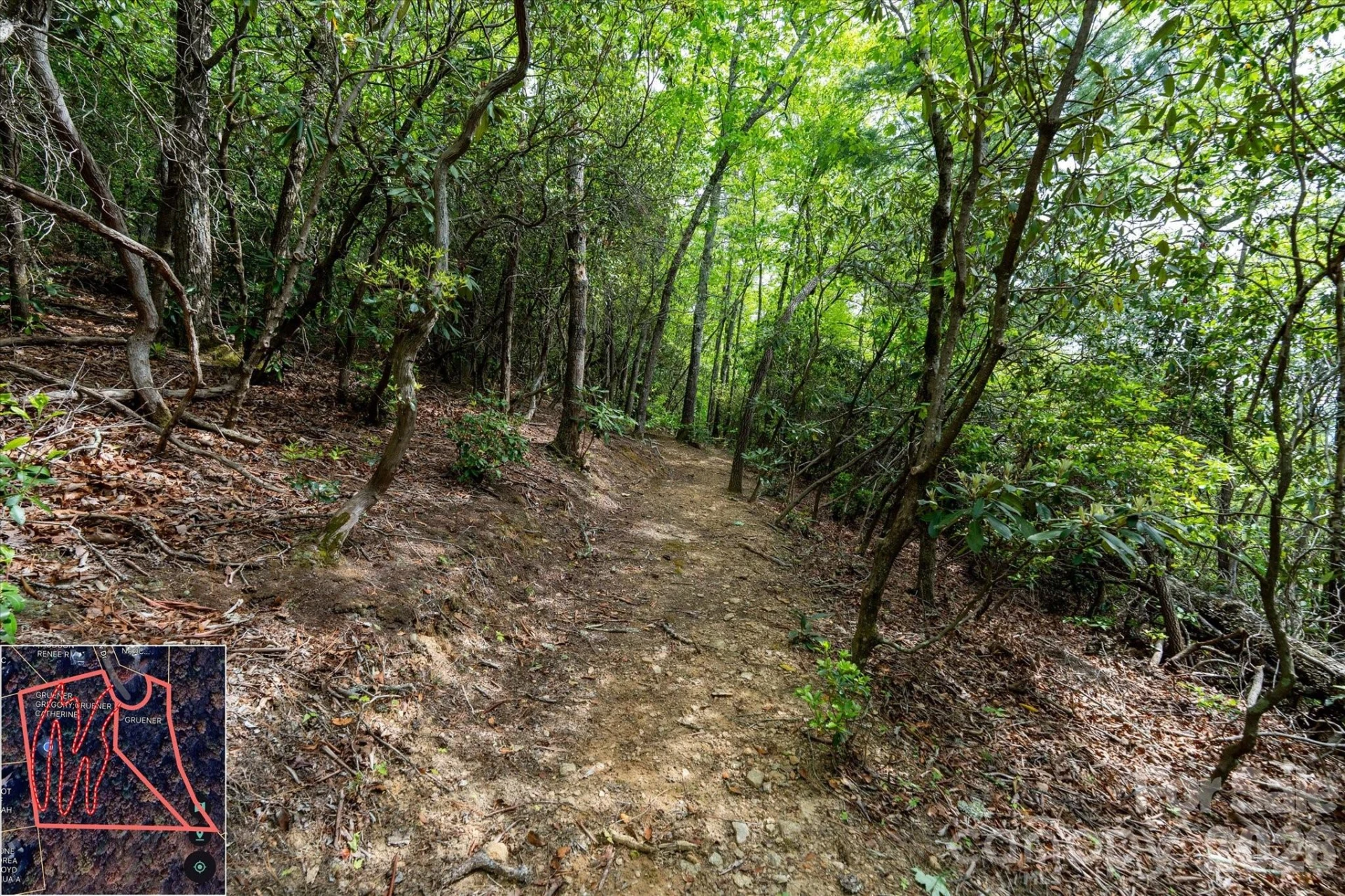 9999 North Fork Road #5 & 6 - Photo 25