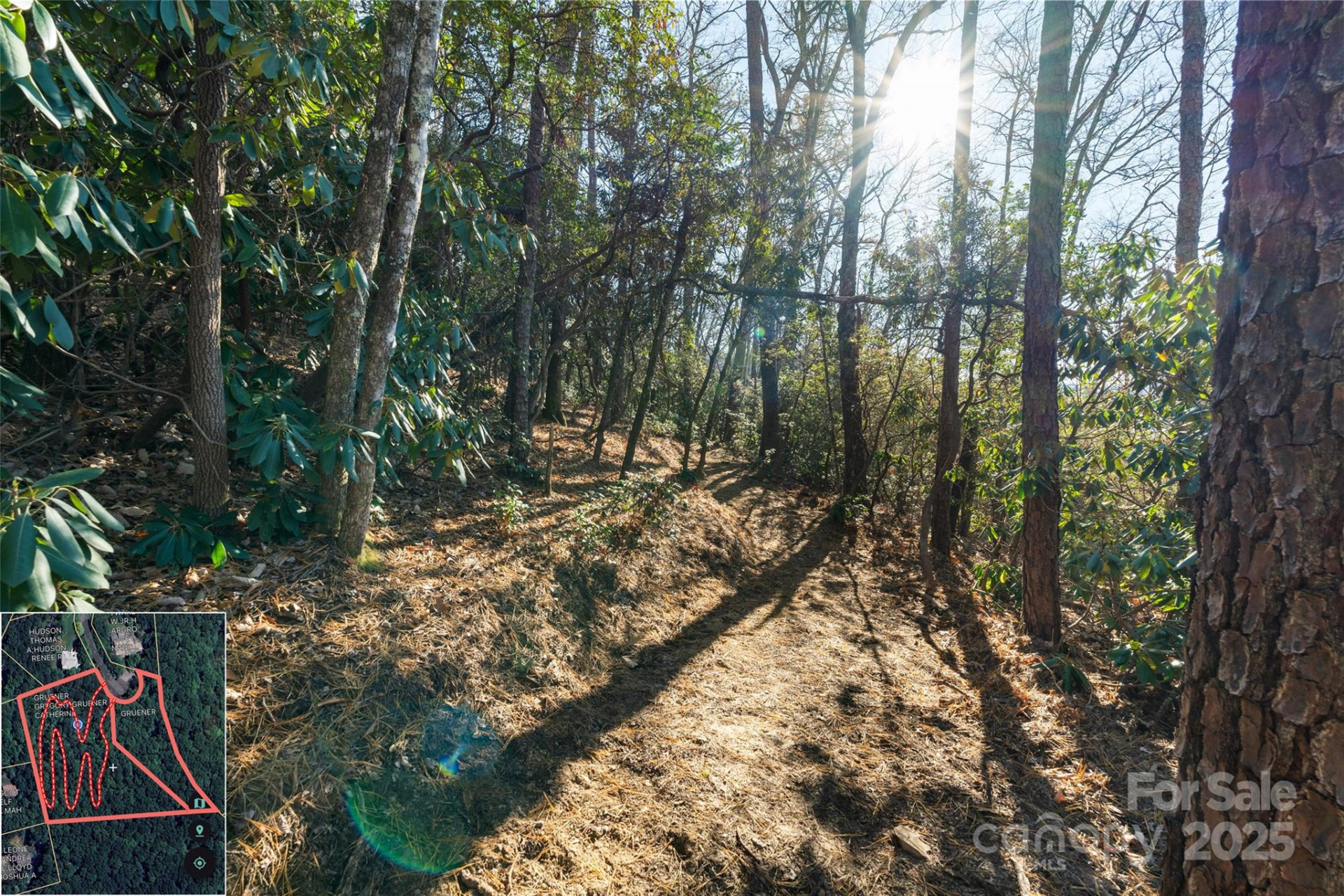 9999 North Fork Road #5 & 6 - Photo 26