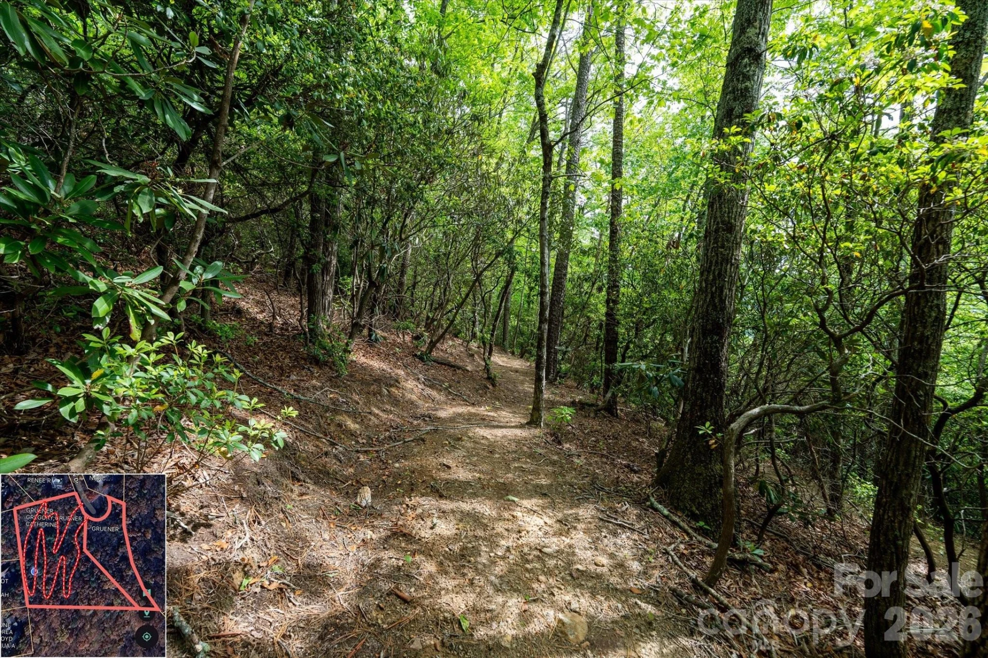 9999 North Fork Road #5 & 6 - Photo 26