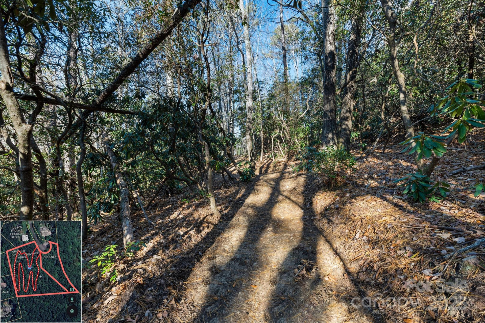 9999 North Fork Road #5 & 6 - Photo 27