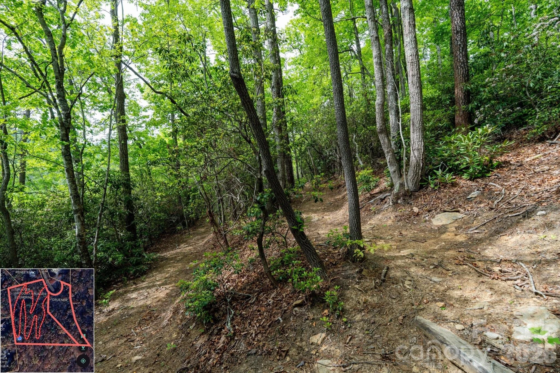 9999 North Fork Road #5 & 6 - Photo 27