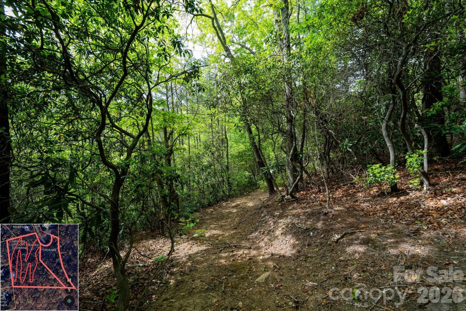 9999 North Fork Road #5 & 6 - Photo 28