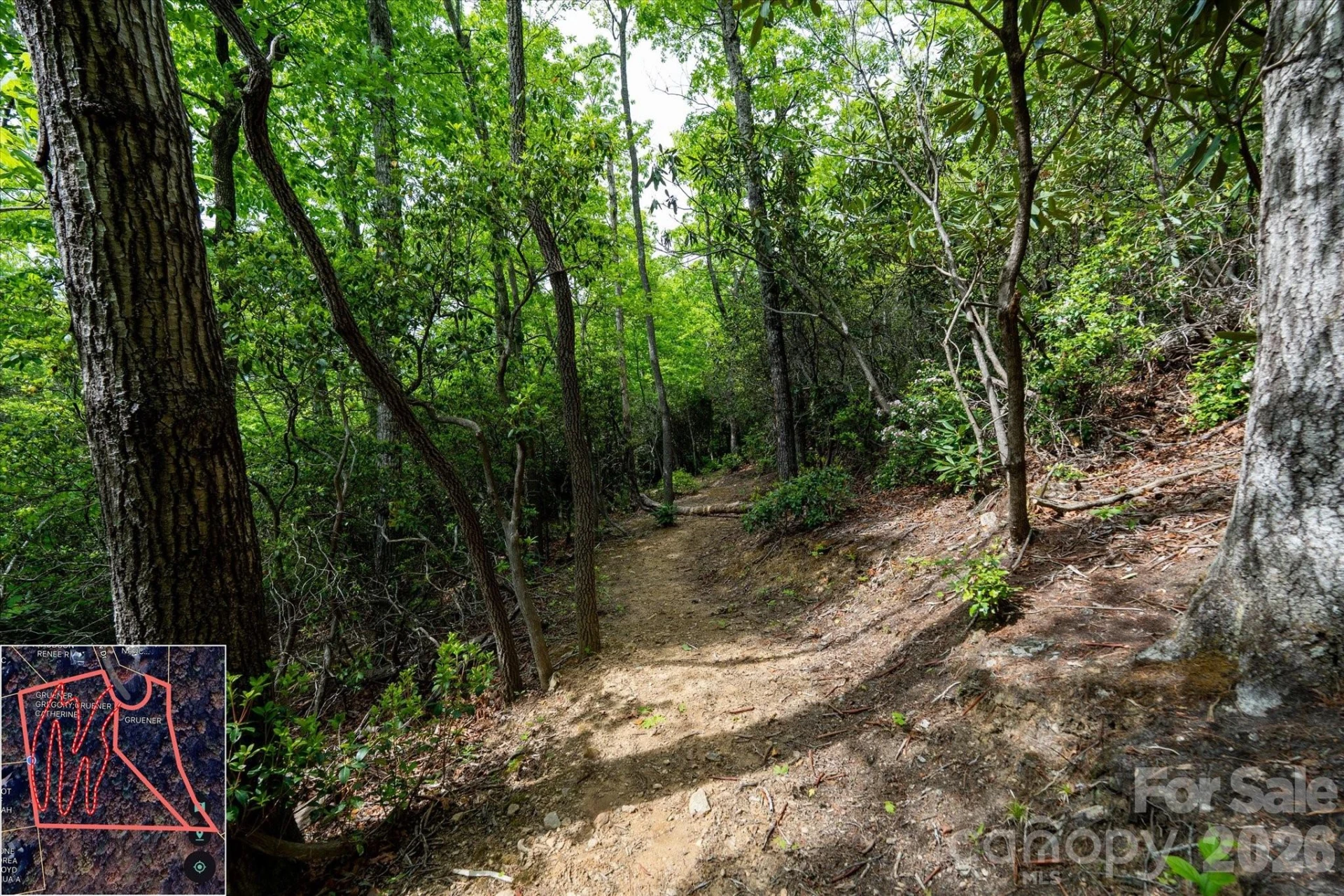 9999 North Fork Road #5 & 6 - Photo 29