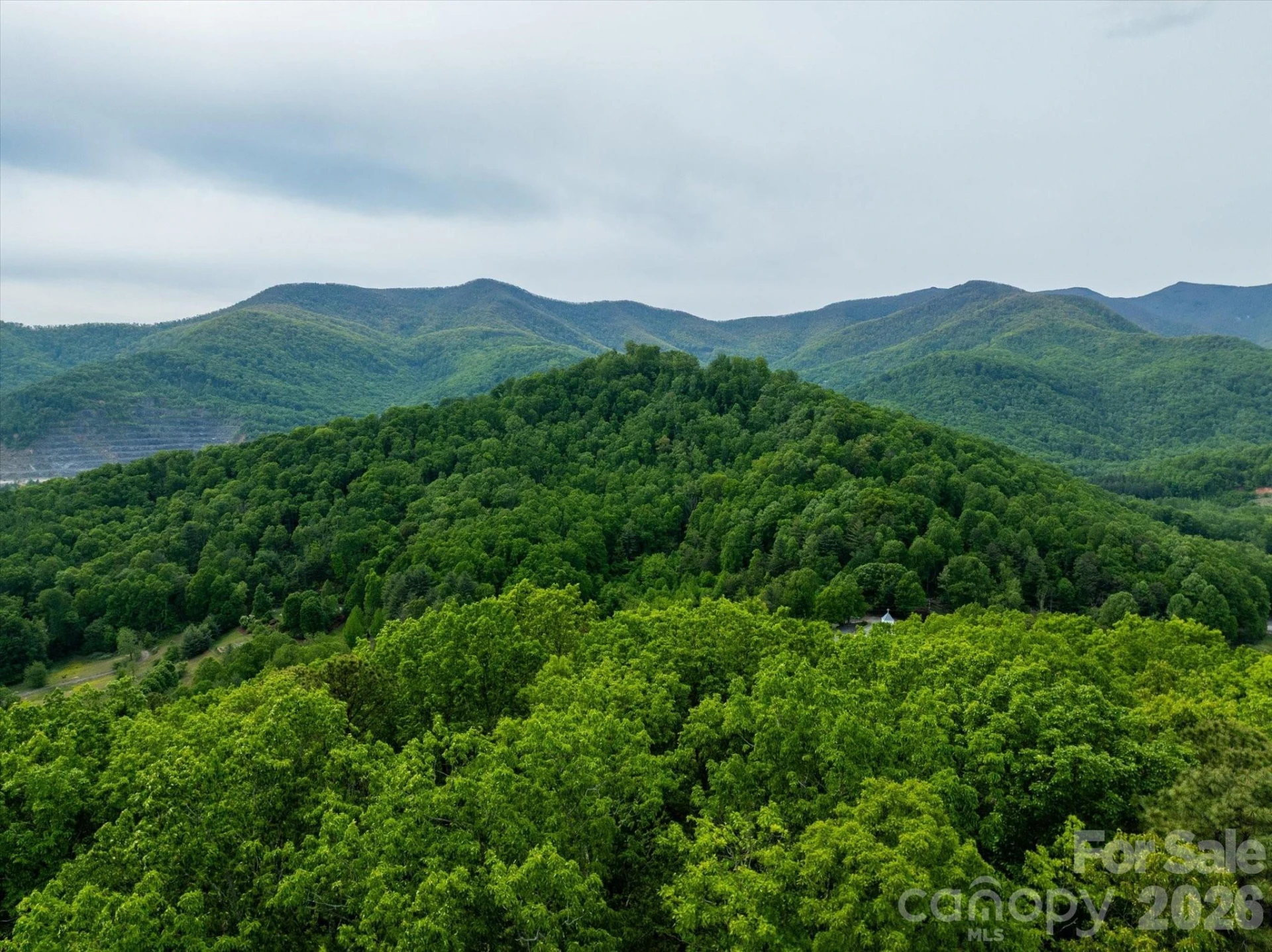 9999 North Fork Road #5 & 6 - Photo 4