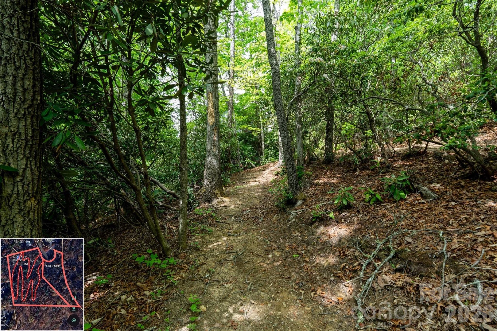 9999 North Fork Road #5 & 6 - Photo 31