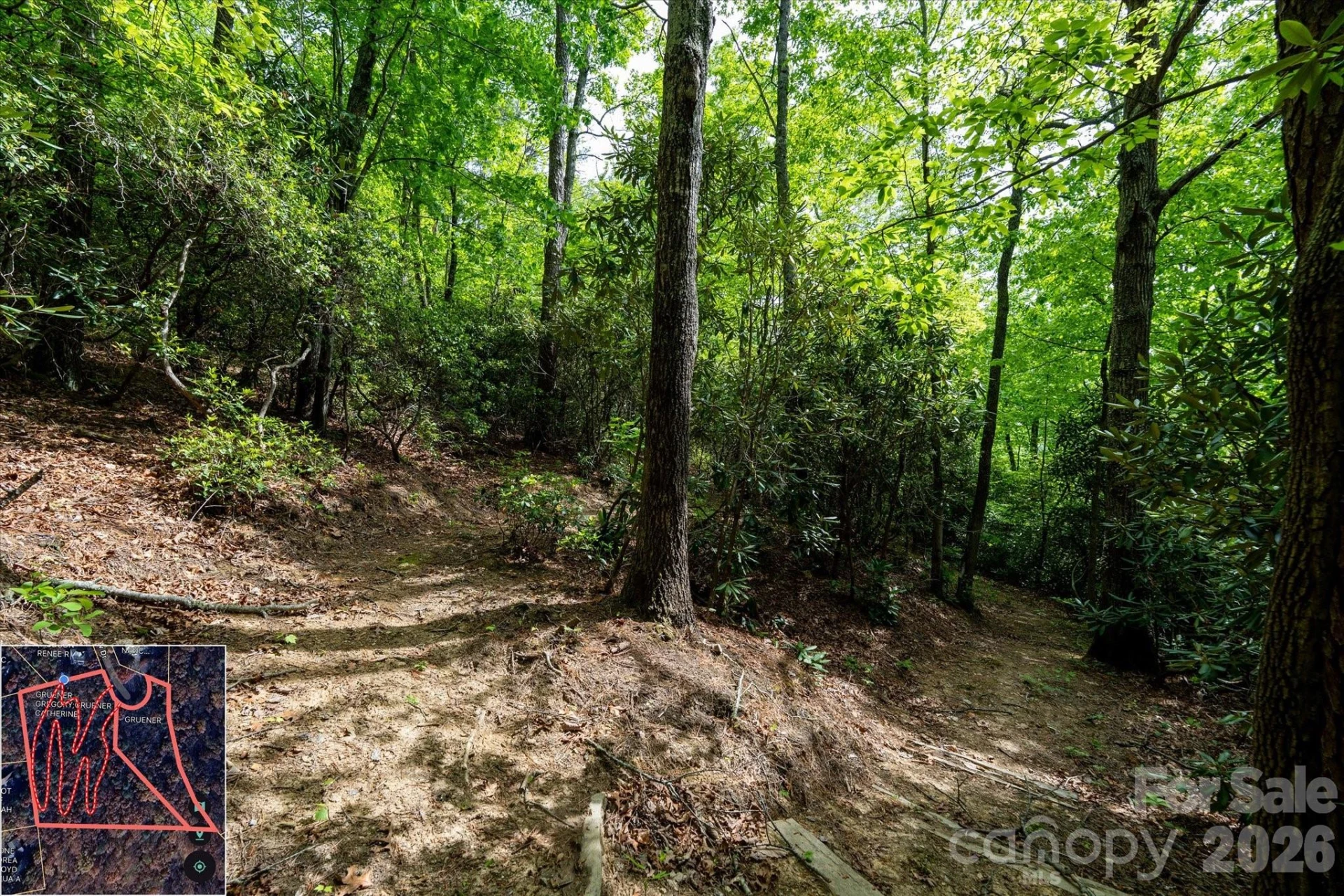 9999 North Fork Road #5 & 6 - Photo 32