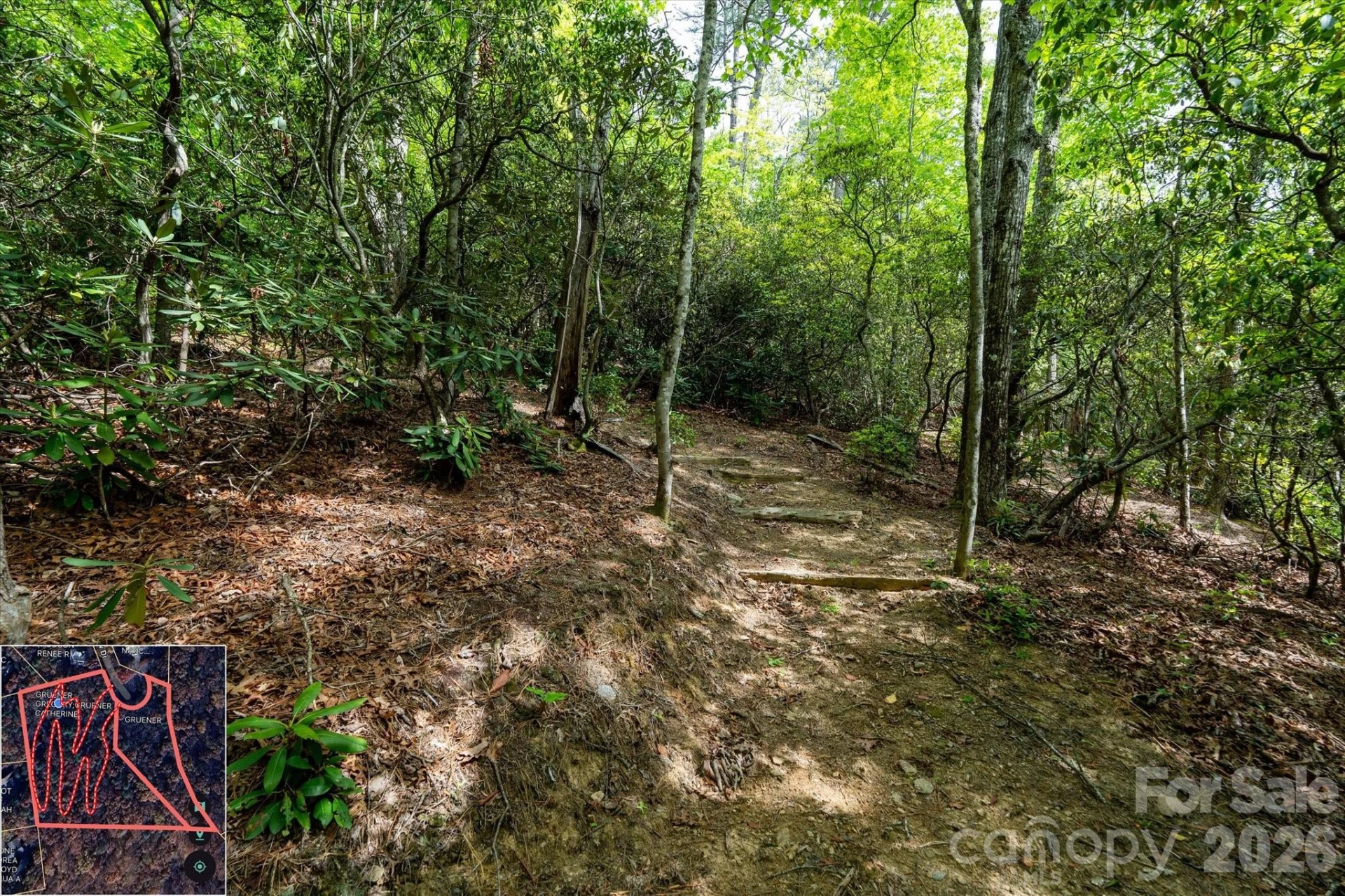 9999 North Fork Road #5 & 6 - Photo 33