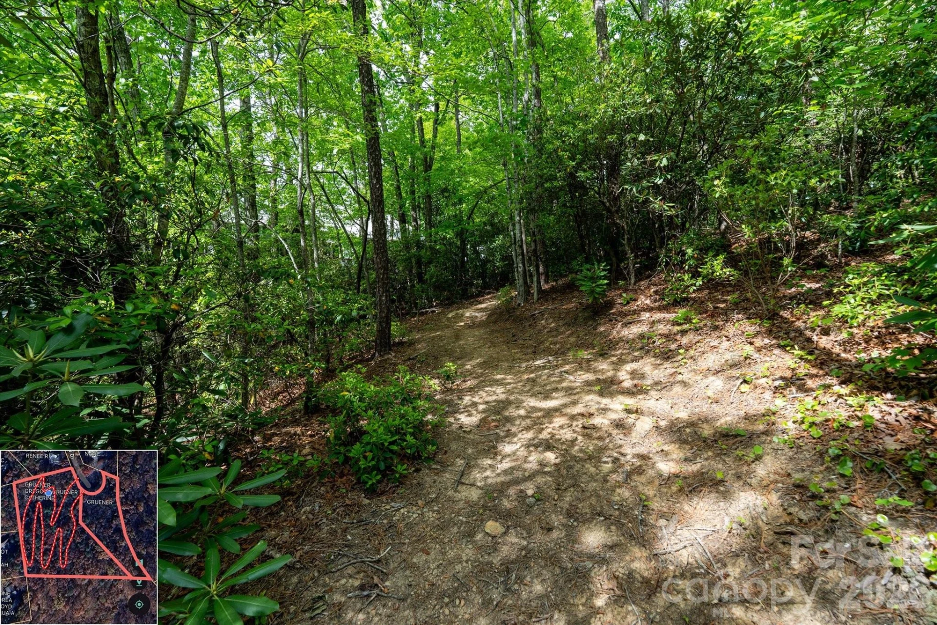 9999 North Fork Road #5 & 6 - Photo 34