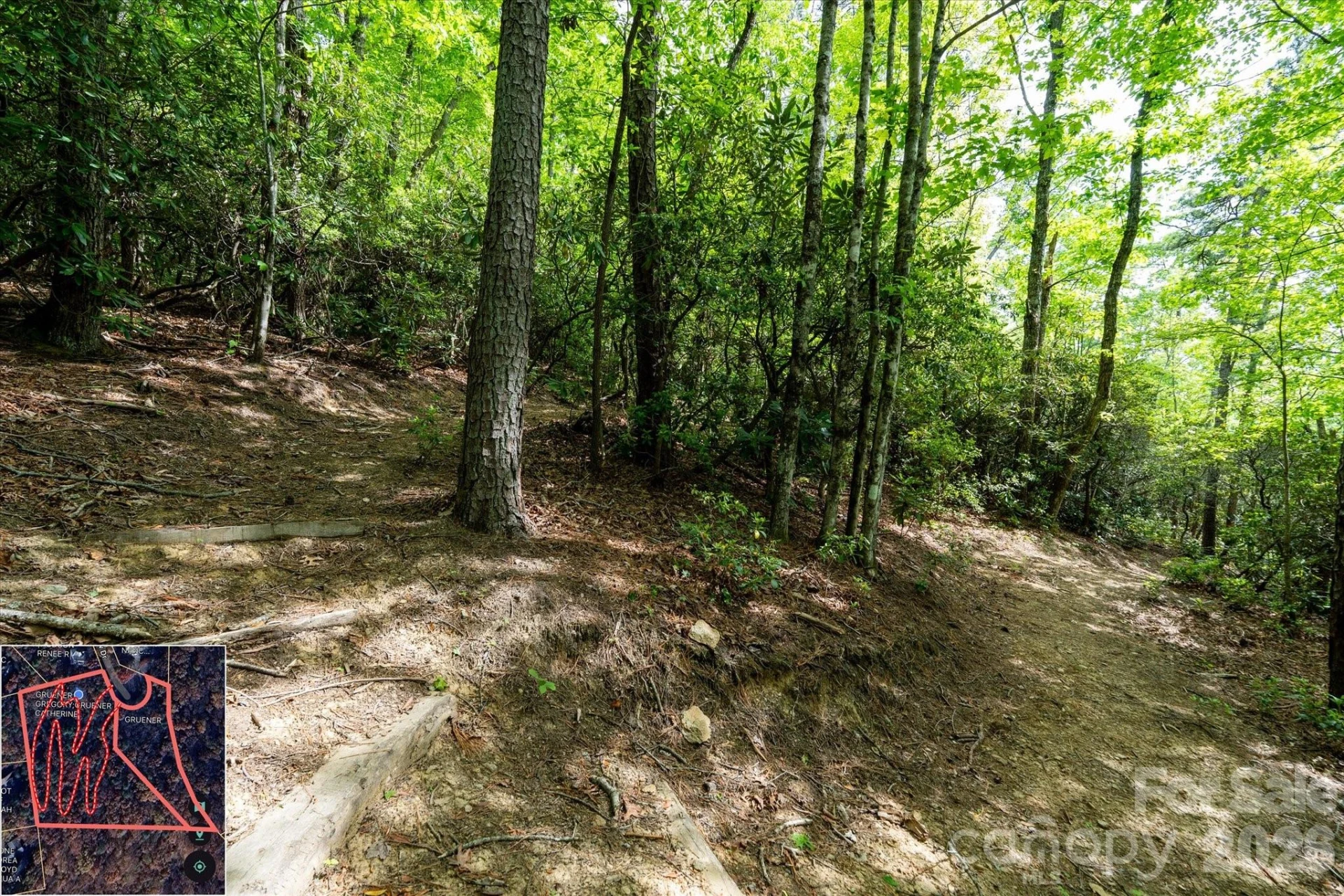 9999 North Fork Road #5 & 6 - Photo 35