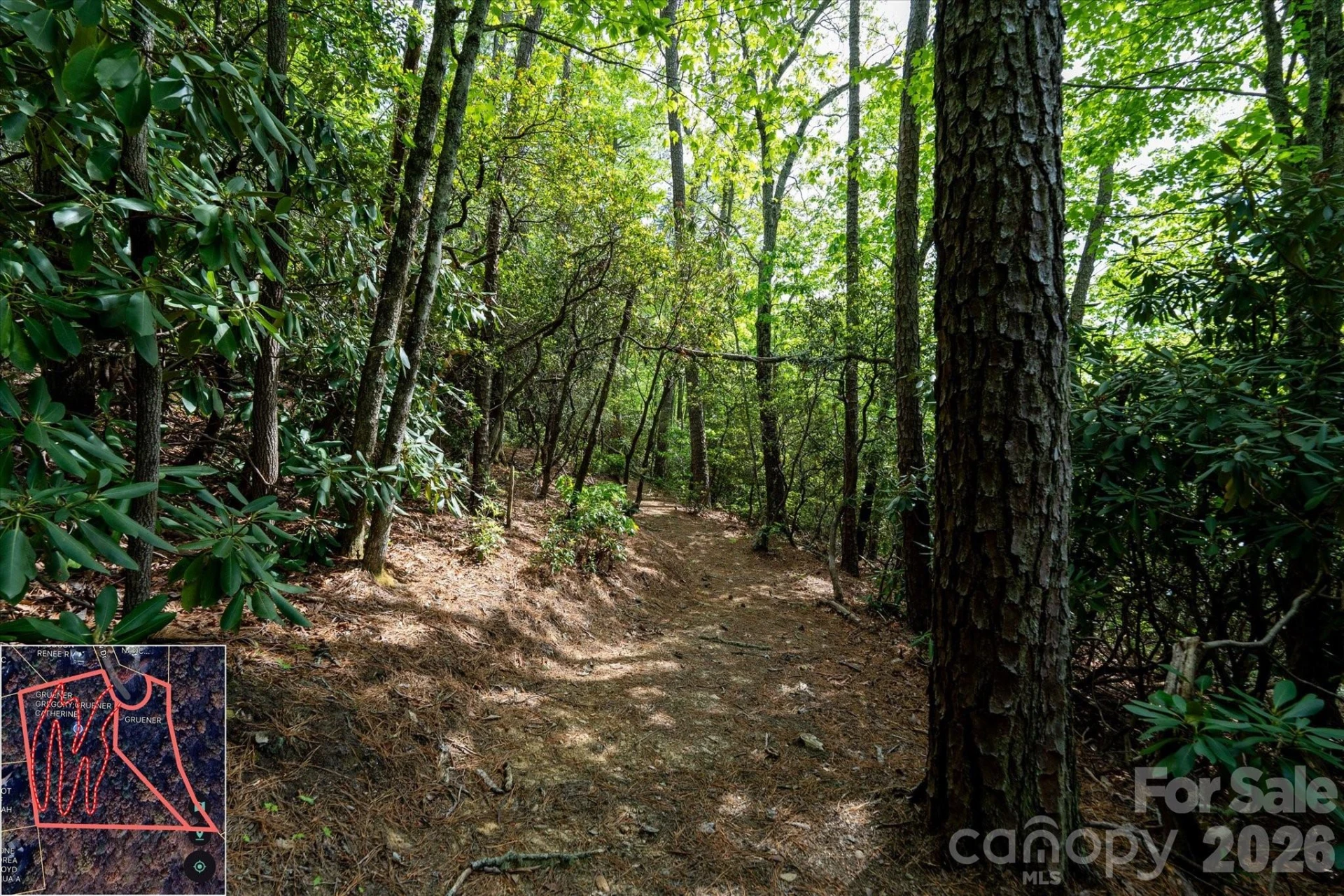 9999 North Fork Road #5 & 6 - Photo 36