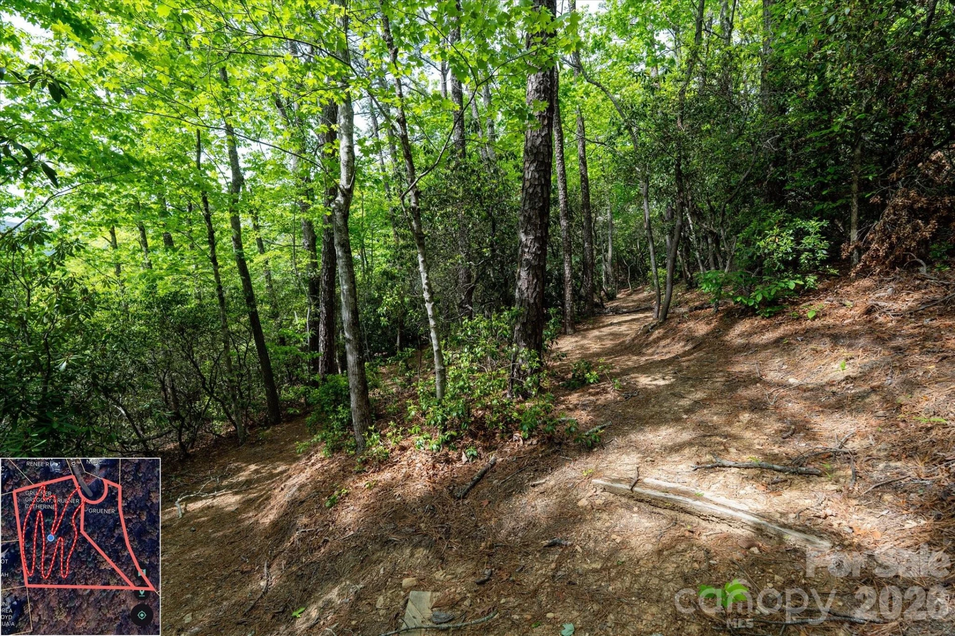 9999 North Fork Road #5 & 6 - Photo 37