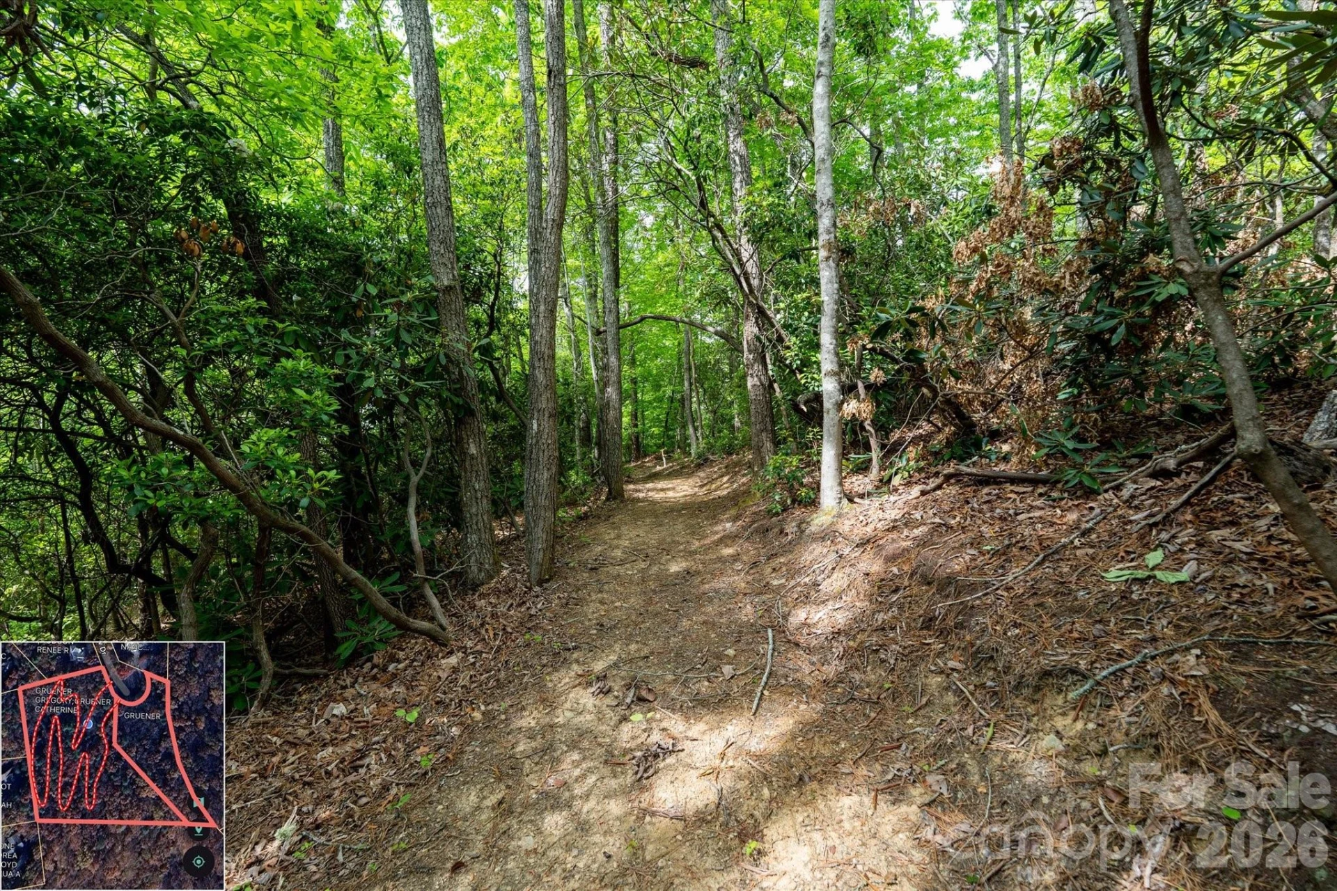9999 North Fork Road #5 & 6 - Photo 38