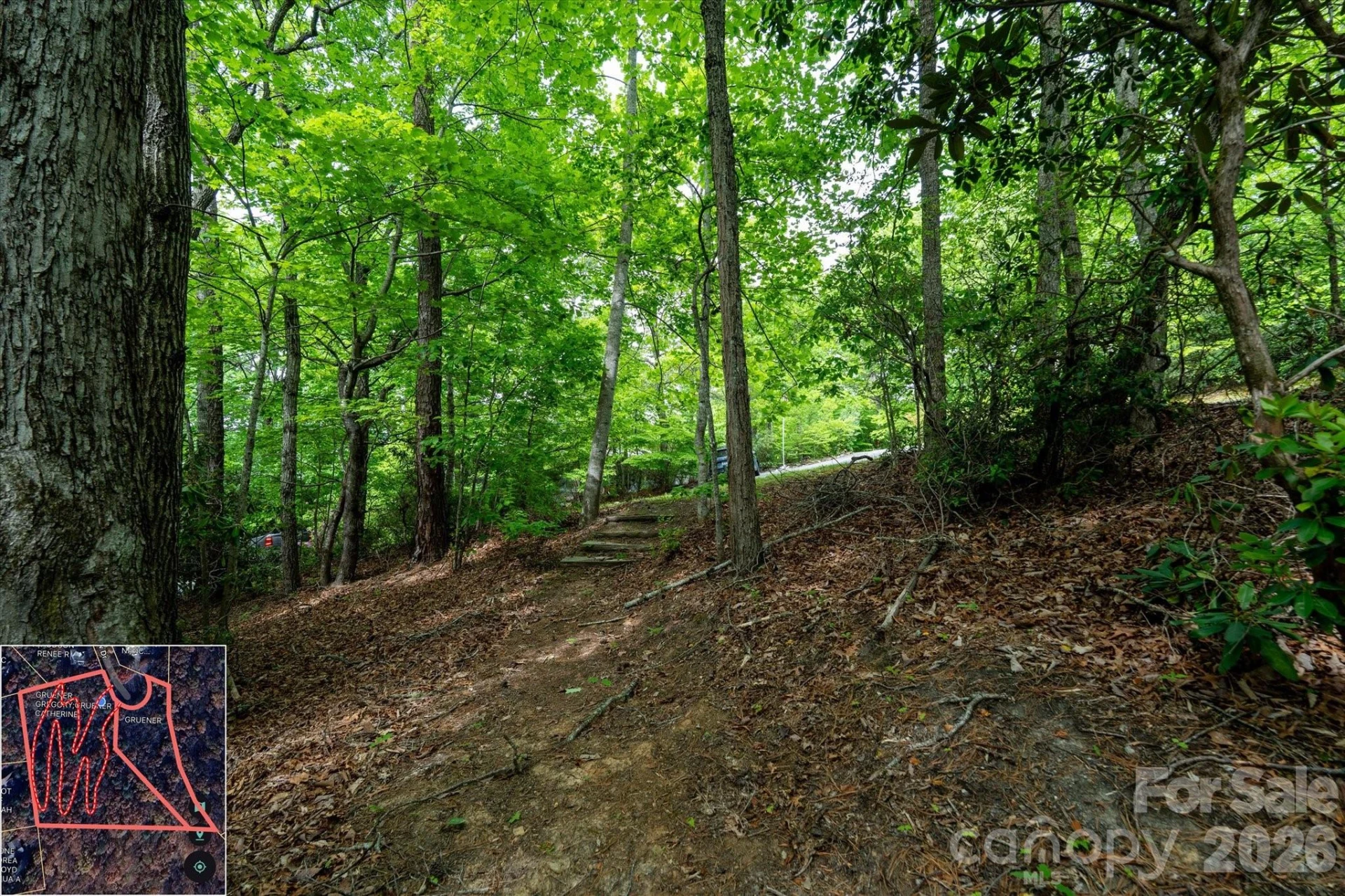 9999 North Fork Road #5 & 6 - Photo 39