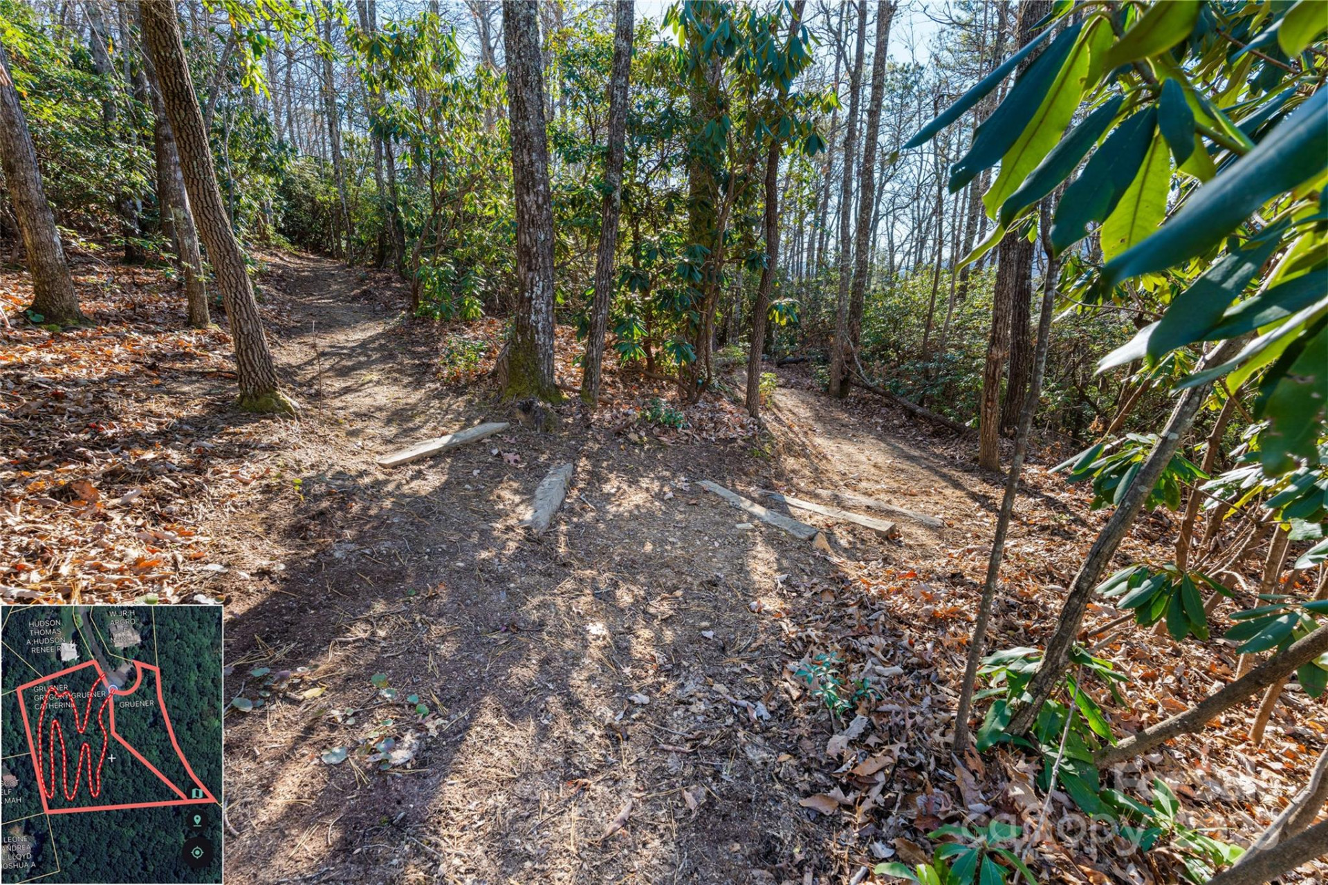 9999 North Fork Road #5 & 6 - Photo 6