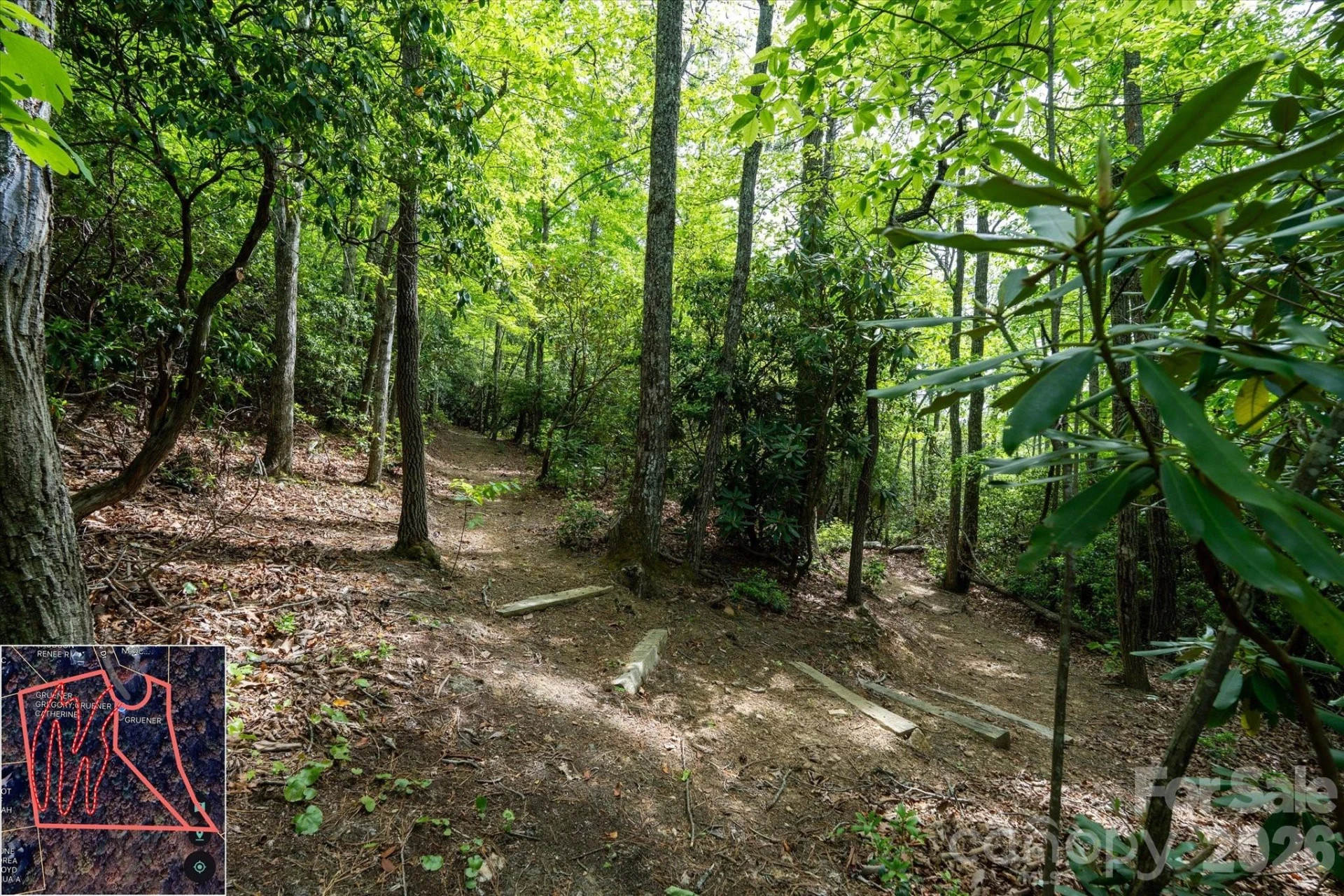 9999 North Fork Road #5 & 6 - Photo 7
