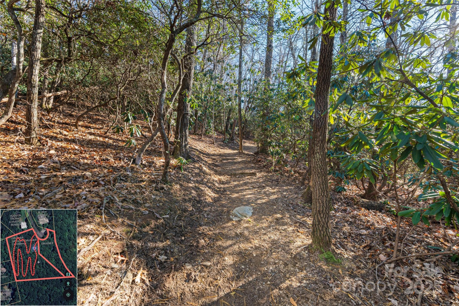 9999 North Fork Road #5 & 6 - Photo 8