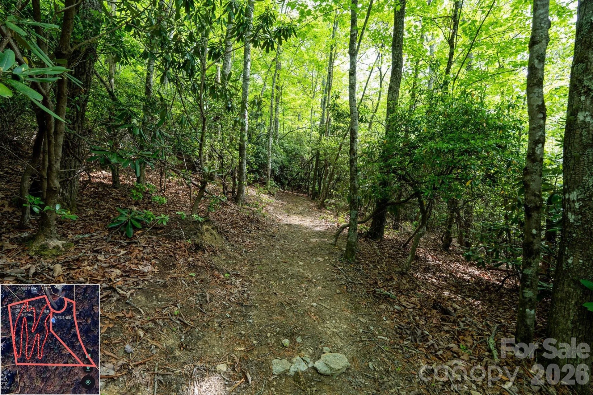 9999 North Fork Road #5 & 6 - Photo 8