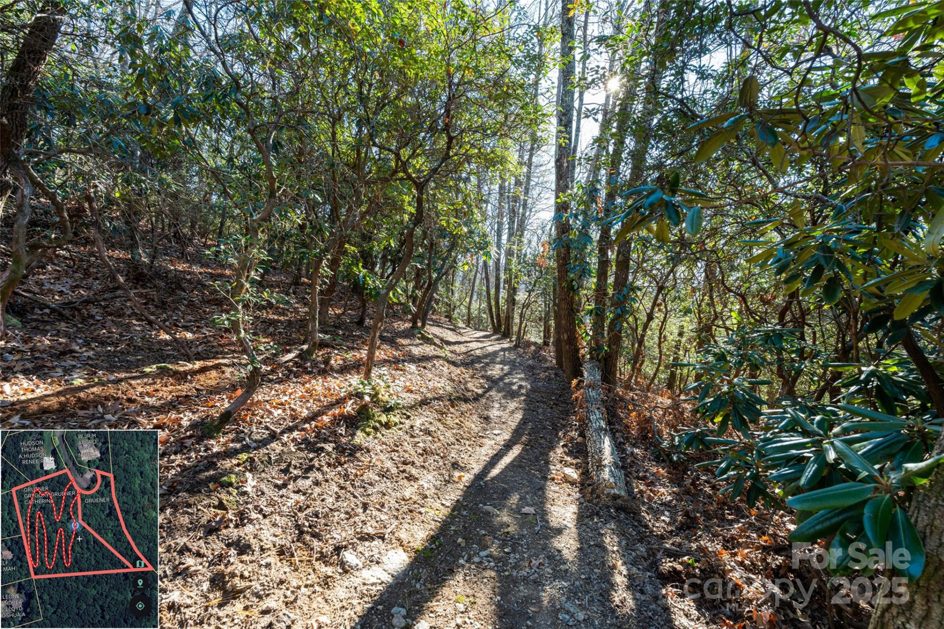 9999 North Fork Road #5 & 6 - Photo 9