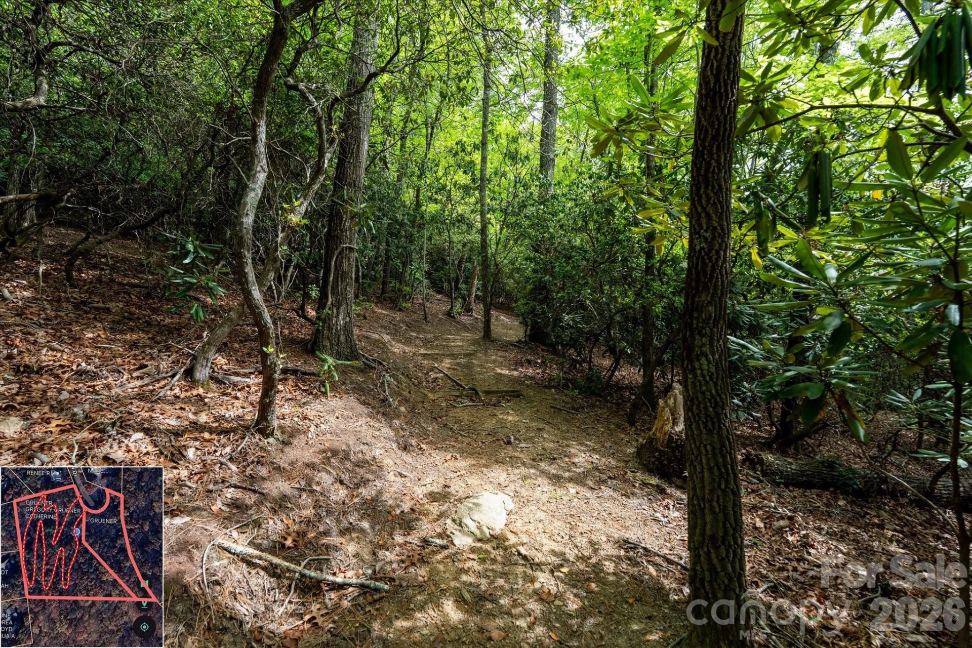 9999 North Fork Road #5 & 6 - Photo 10