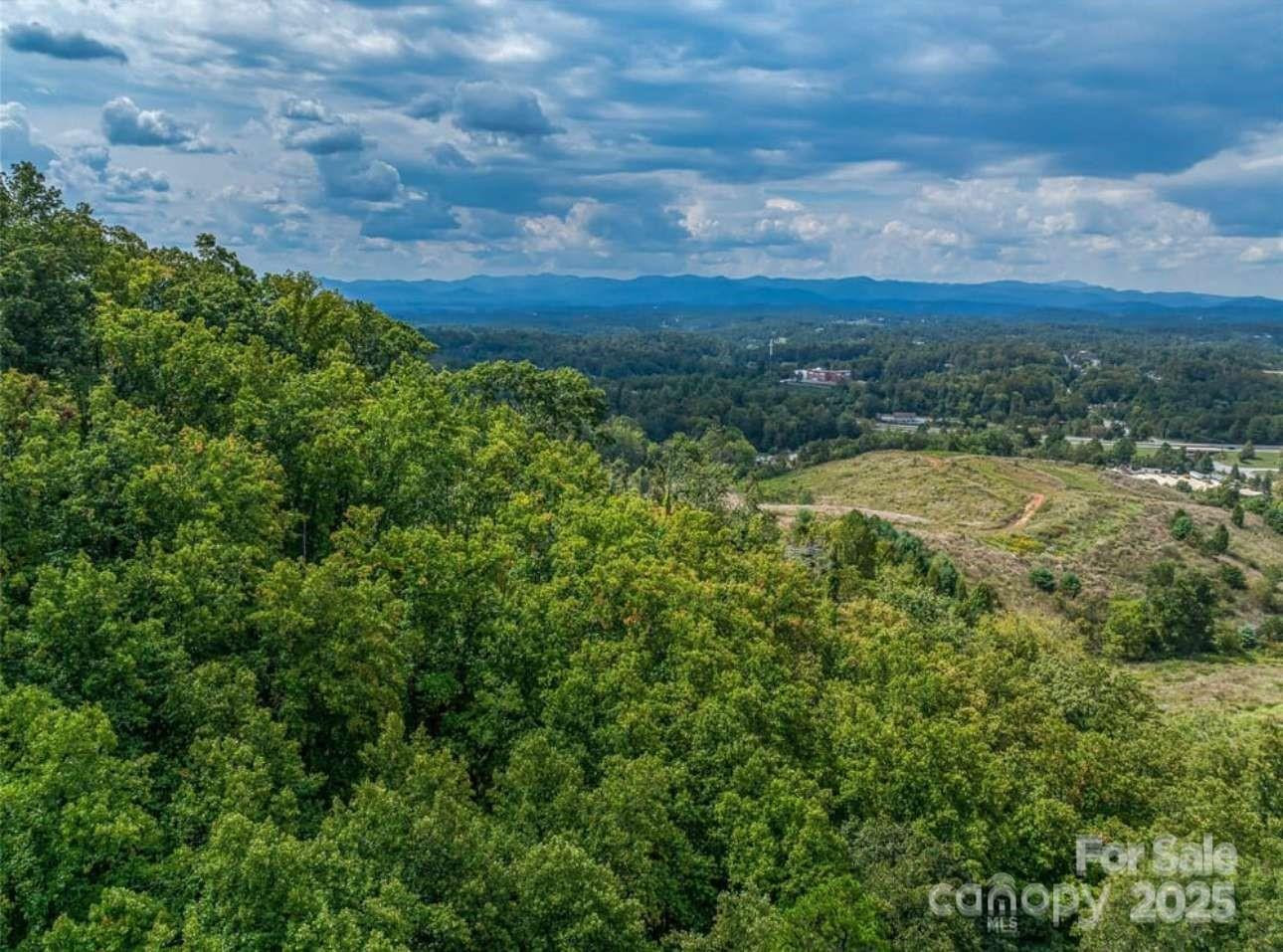 87 Barnardsville Highway - Photo 11