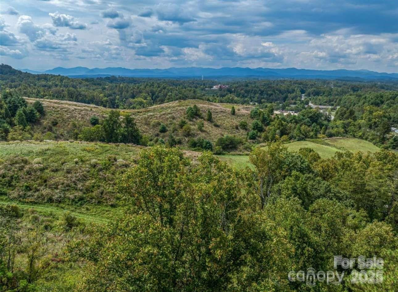 87 Barnardsville Highway - Photo 10