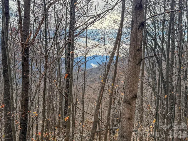 Lot 375 Rolling Ridge Trail