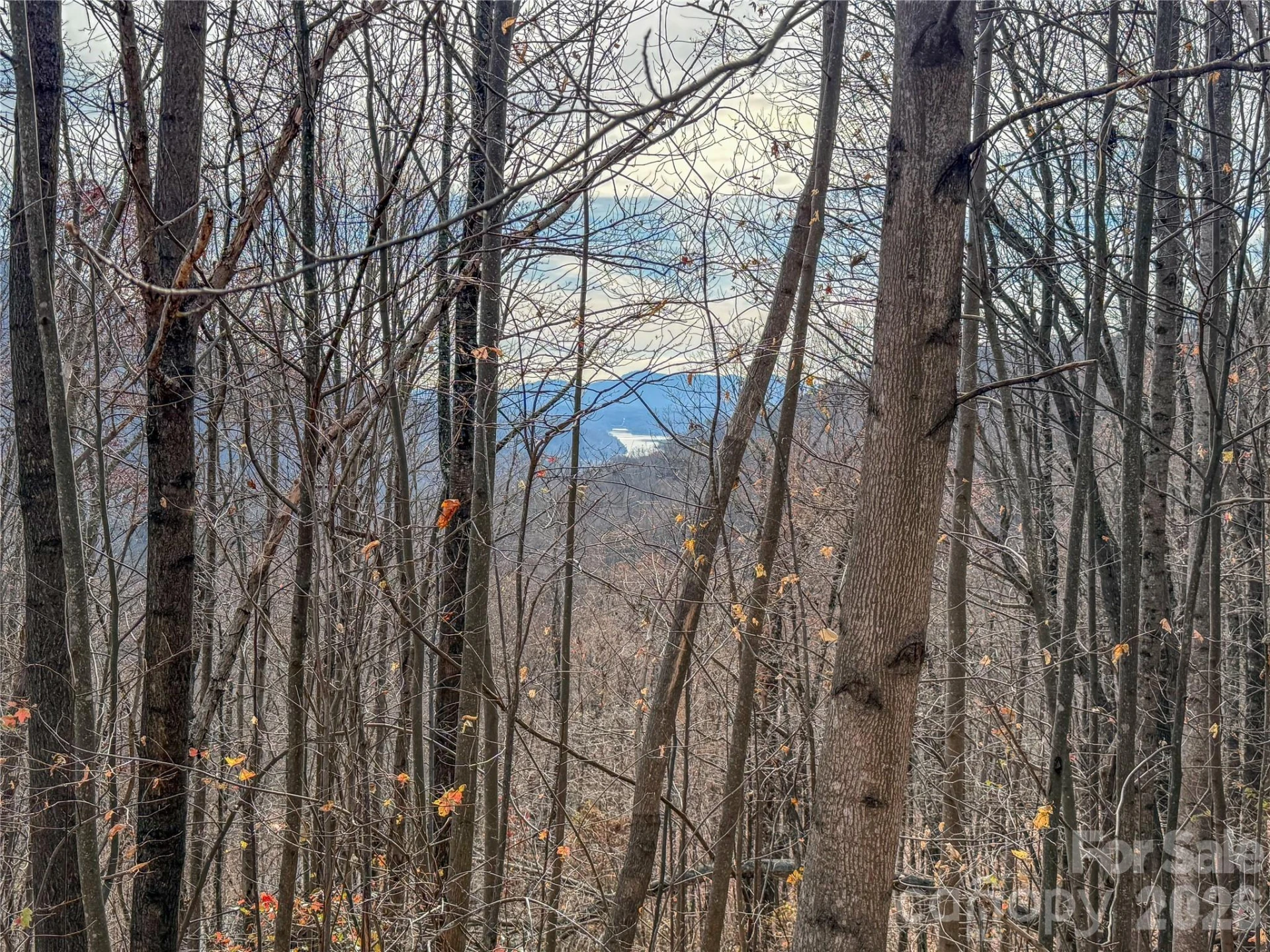 Lot 375 Rolling Ridge Trail
