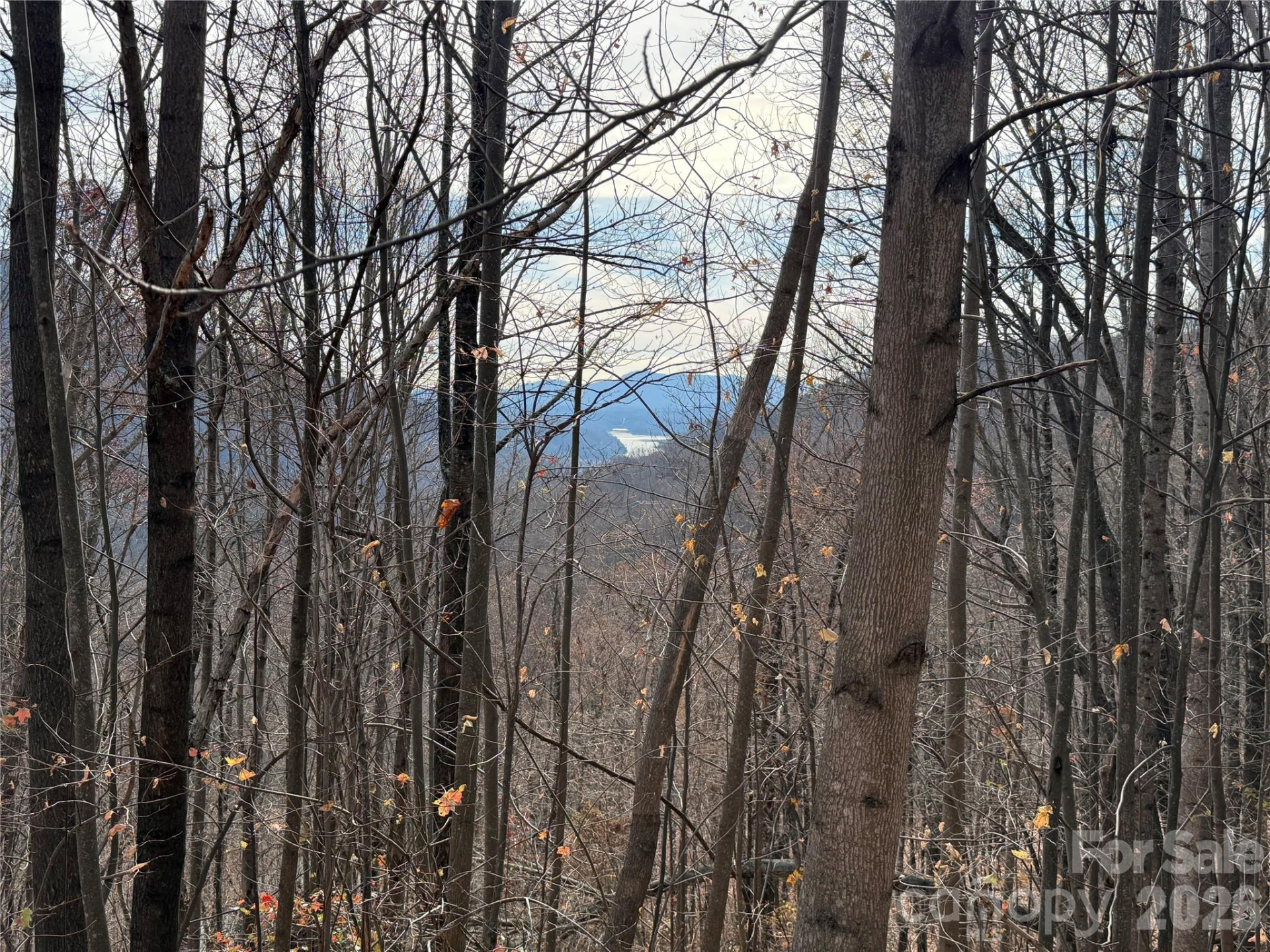 Lot 375 Rolling Ridge Trail - Photo 2