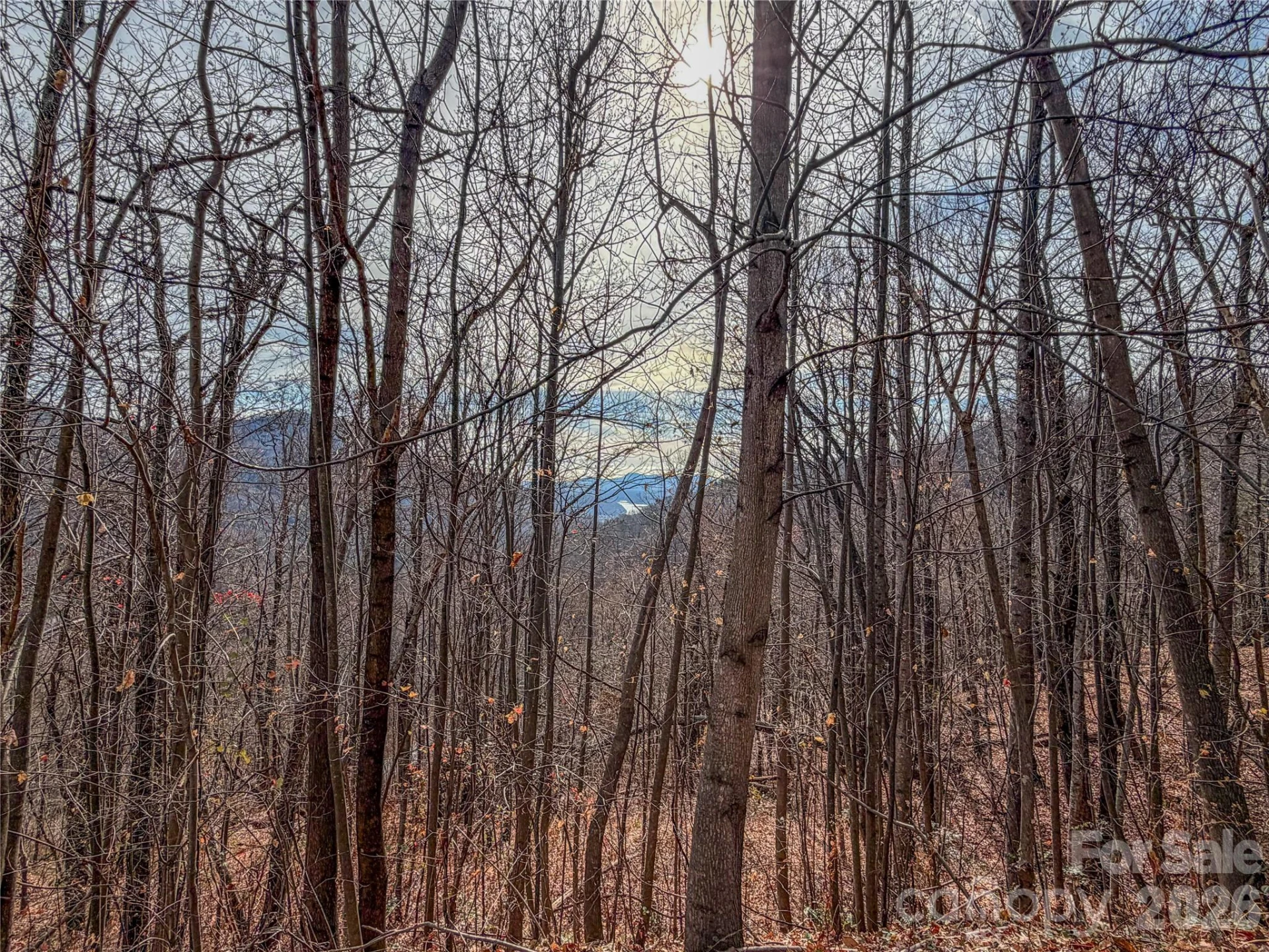 Lot 375 Rolling Ridge Trail - Photo 3