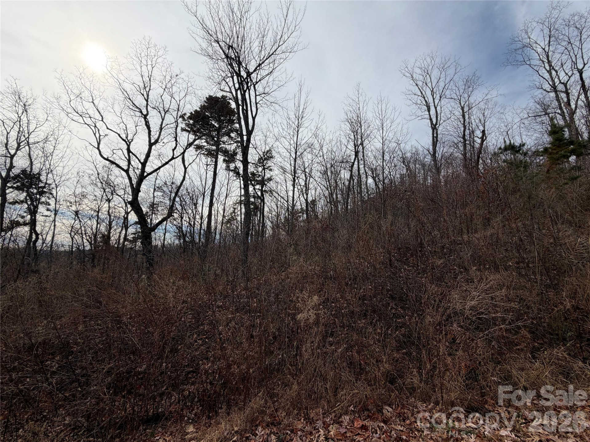 Lot 375 Rolling Ridge Trail - Photo 3