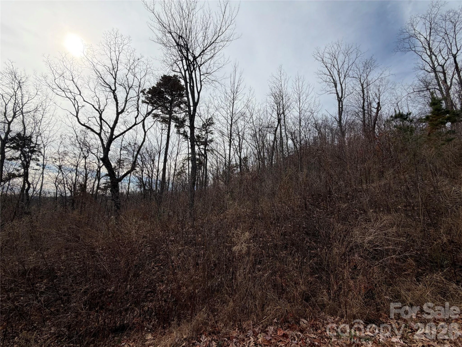 Lot 375 Rolling Ridge Trail - Photo 5