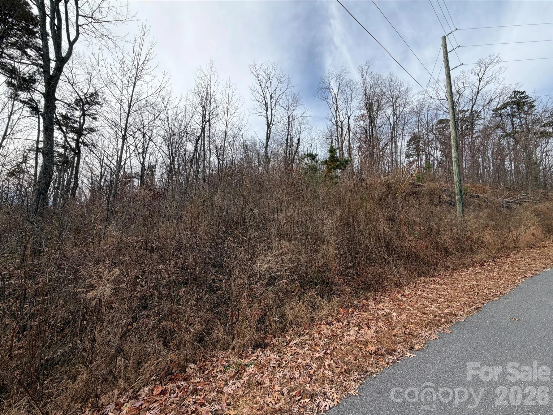 Lot 375 Rolling Ridge Trail - Photo 6