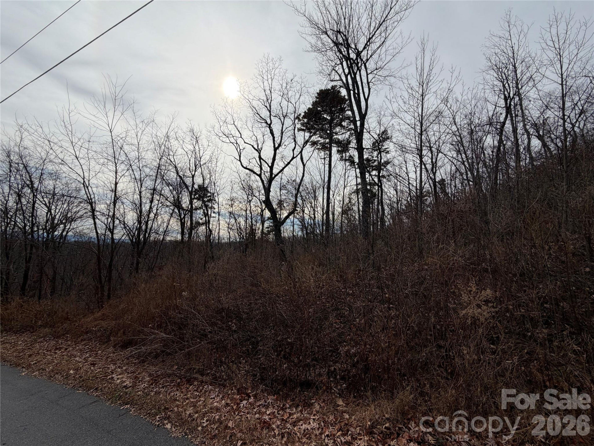 Lot 375 Rolling Ridge Trail - Photo 5