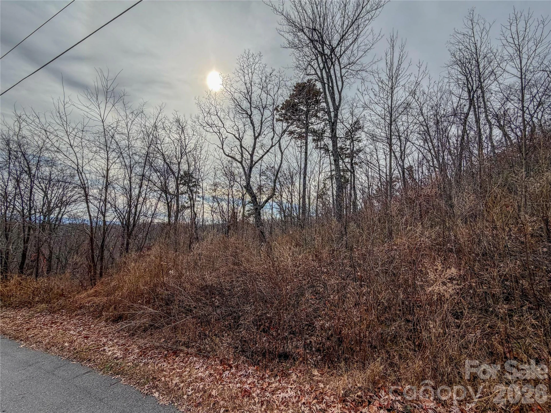 Lot 375 Rolling Ridge Trail - Photo 7