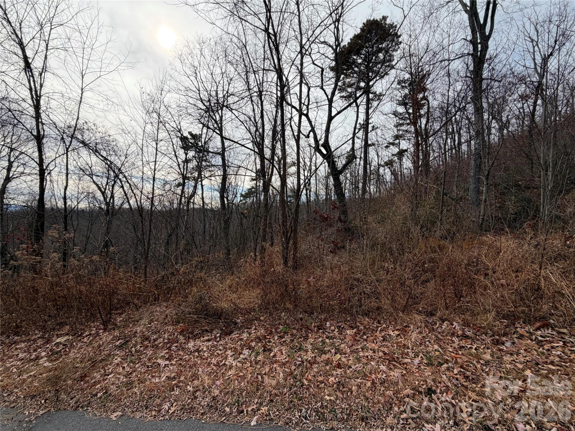 Lot 375 Rolling Ridge Trail - Photo 9