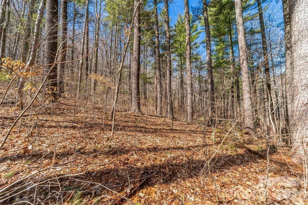 99999 Parker Road - Photo 3