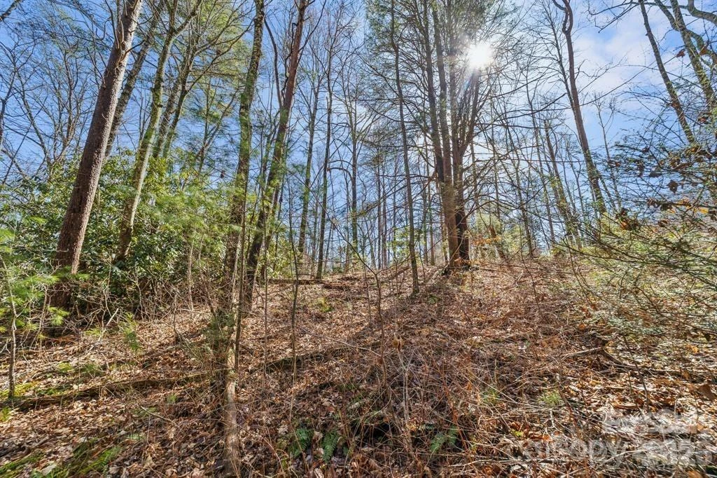 99999 Parker Road - Photo 7