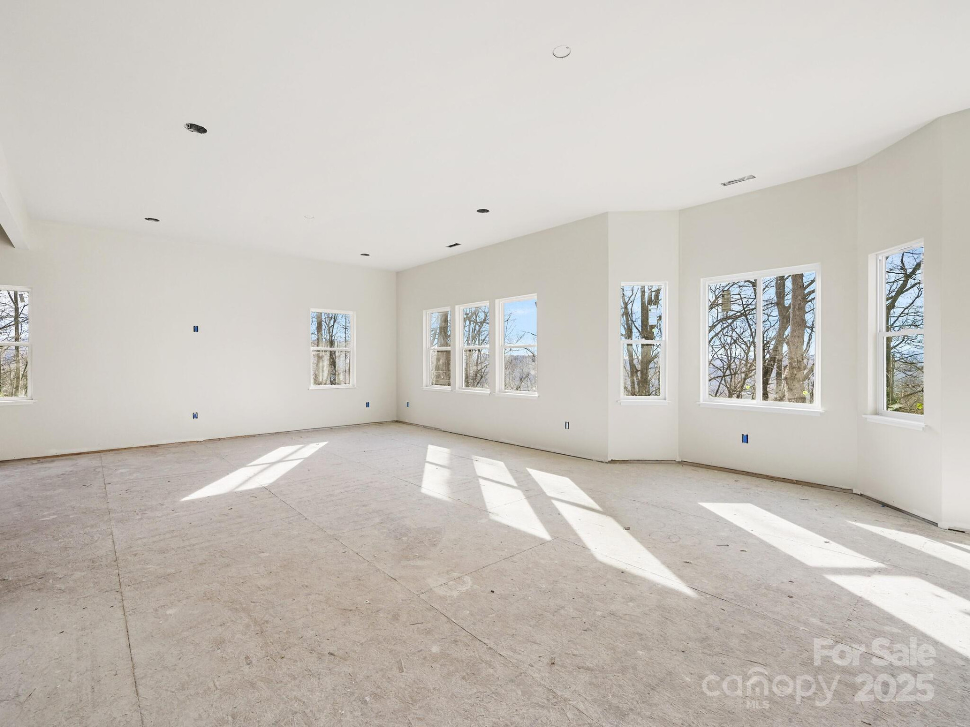 296 Carriage Summitt Way - Photo 16