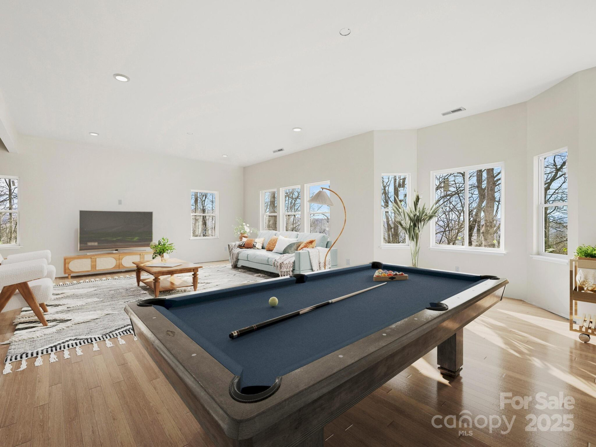 296 Carriage Summitt Way - Photo 6