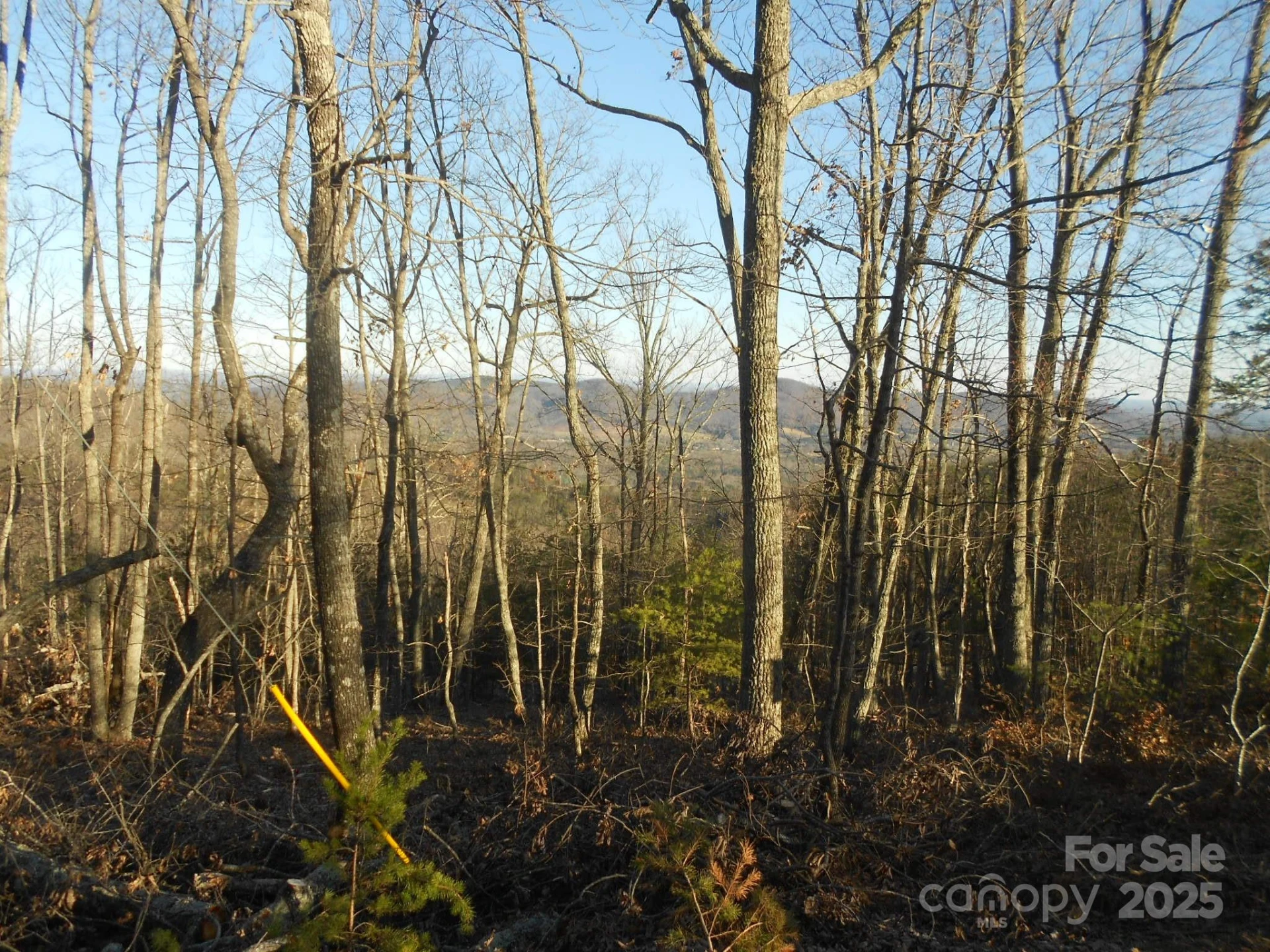 0000 Arbra Mountain Way #54