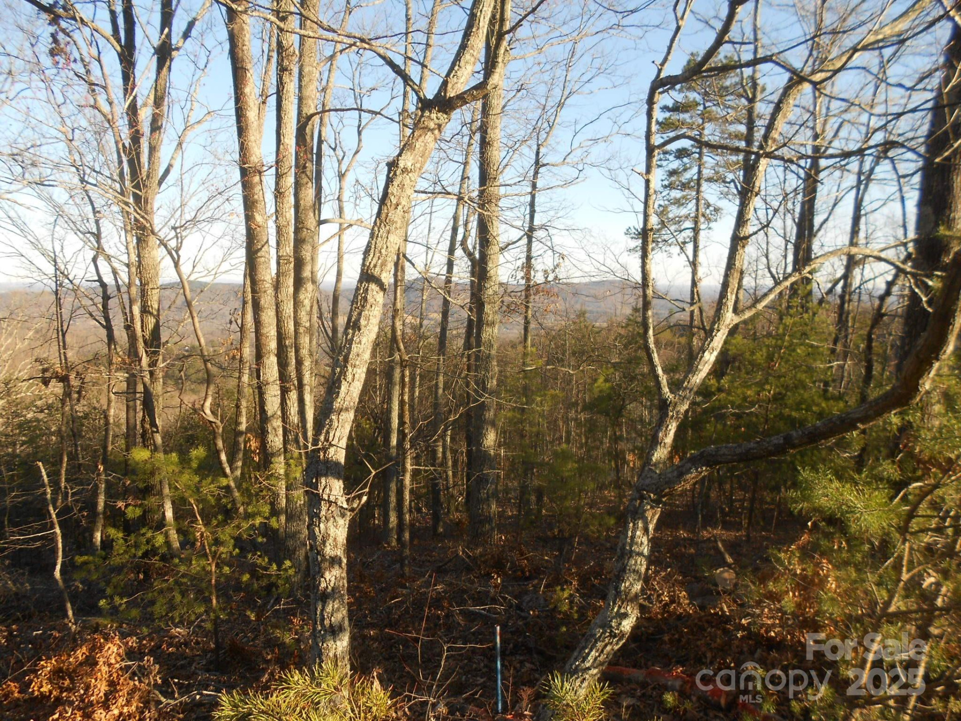 0000 Arbra Mountain Way #54 - Photo 2