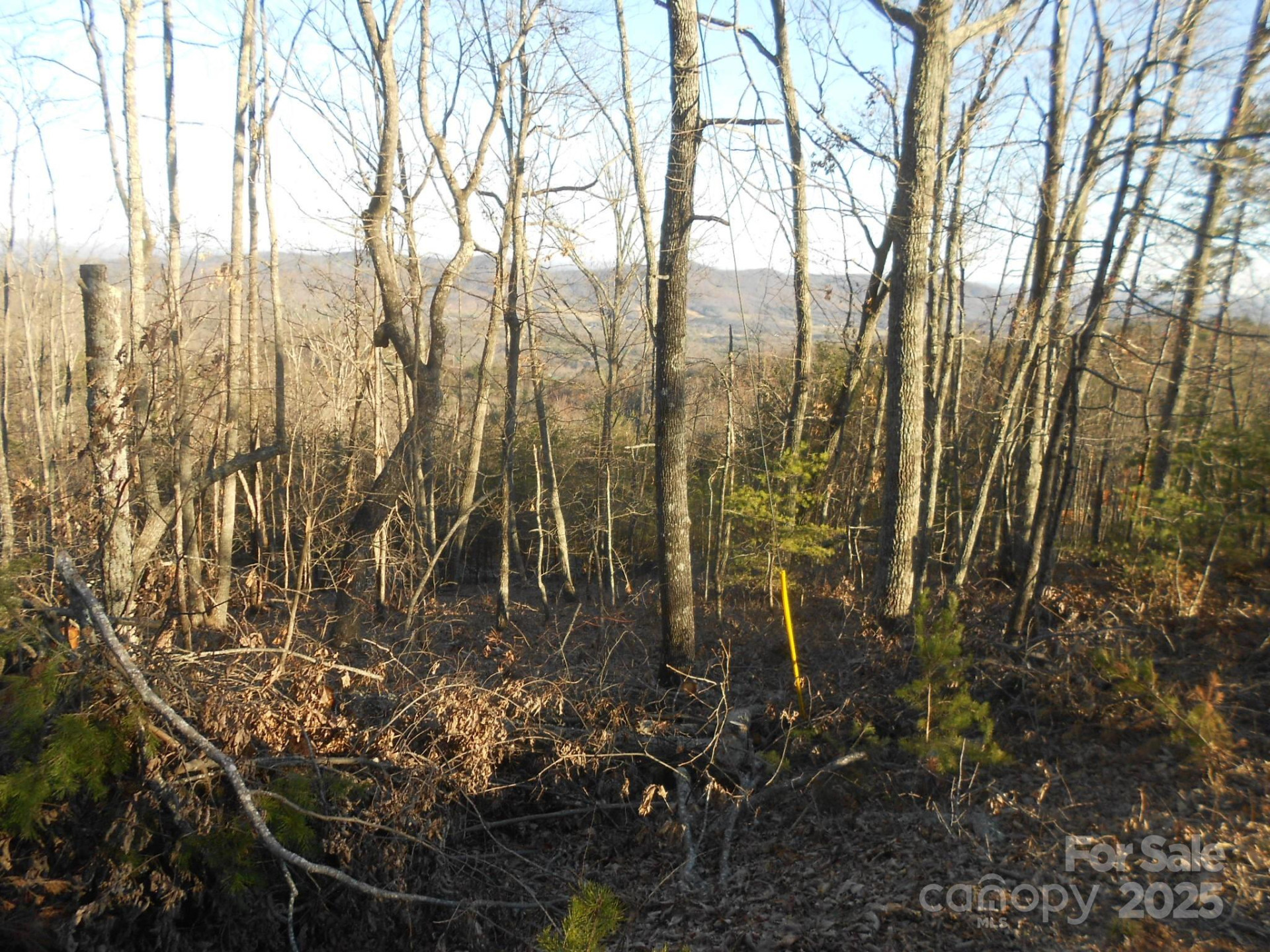 0000 Arbra Mountain Way #54 - Photo 5