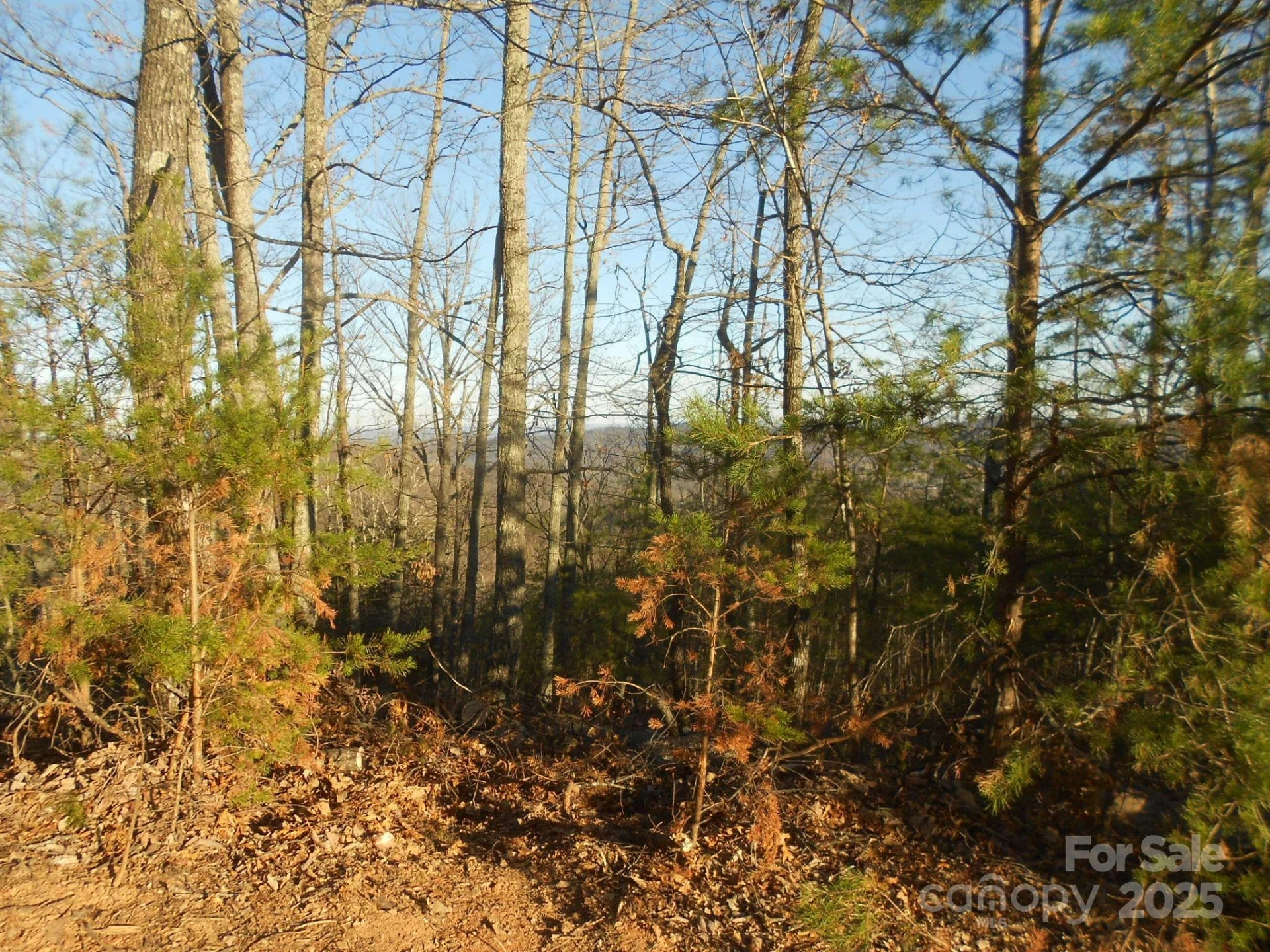 0000 Arbra Mountain Way #54 - Photo 7