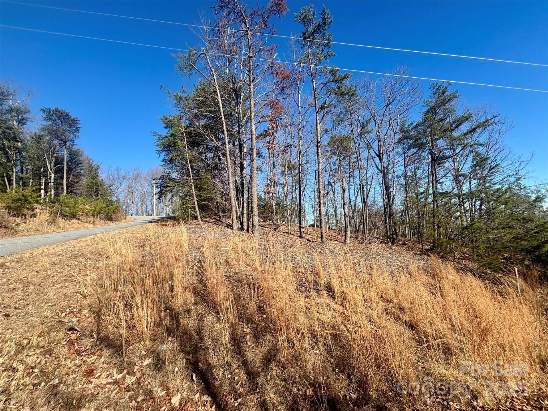 0000 Arbra Mountain Way #54 - Photo 8
