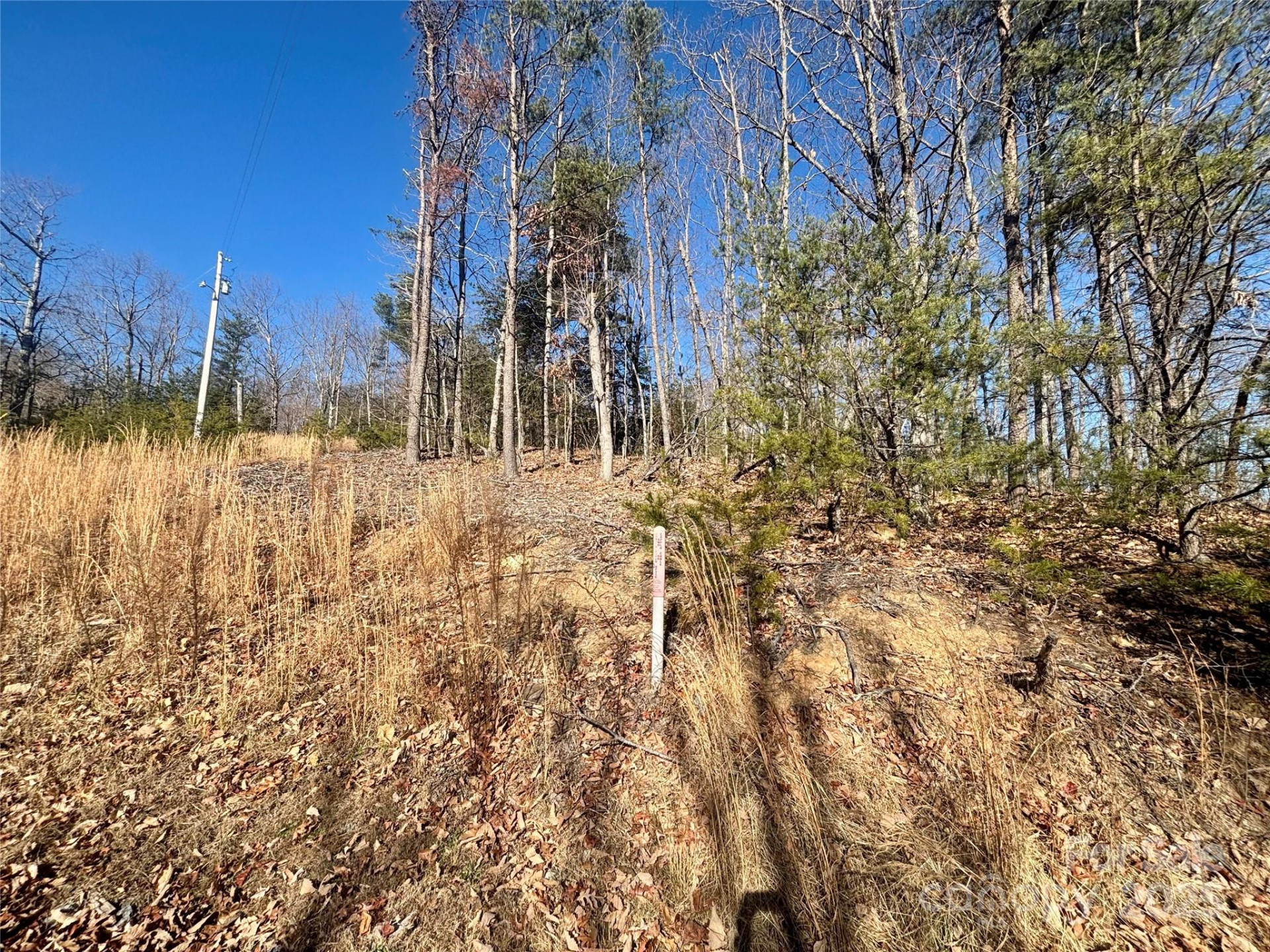 0000 Arbra Mountain Way #54 - Photo 9