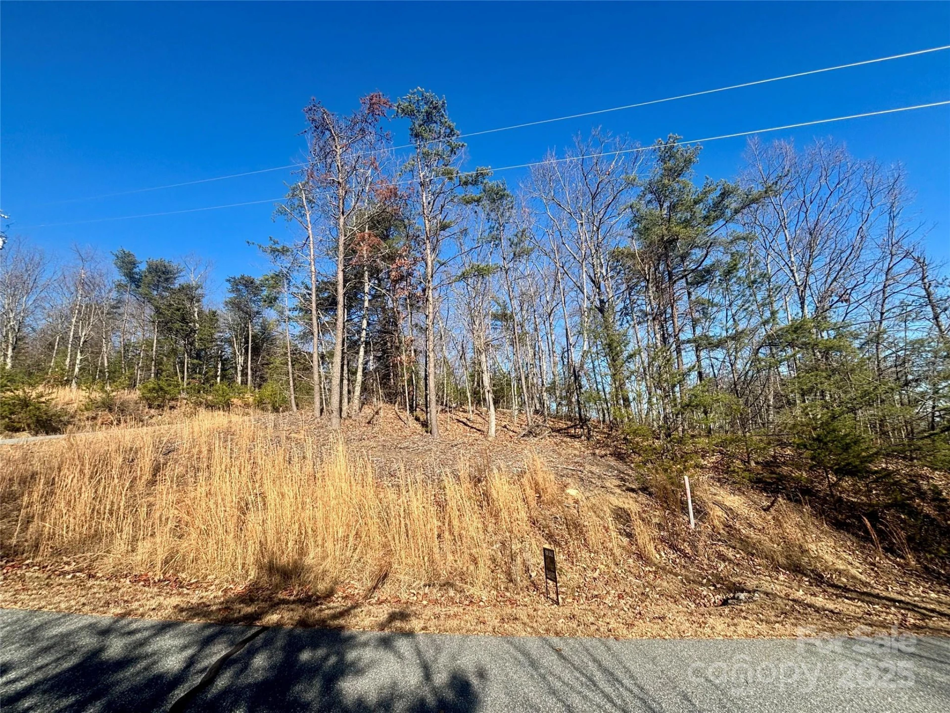 0000 Arbra Mountain Way #54 - Photo 10