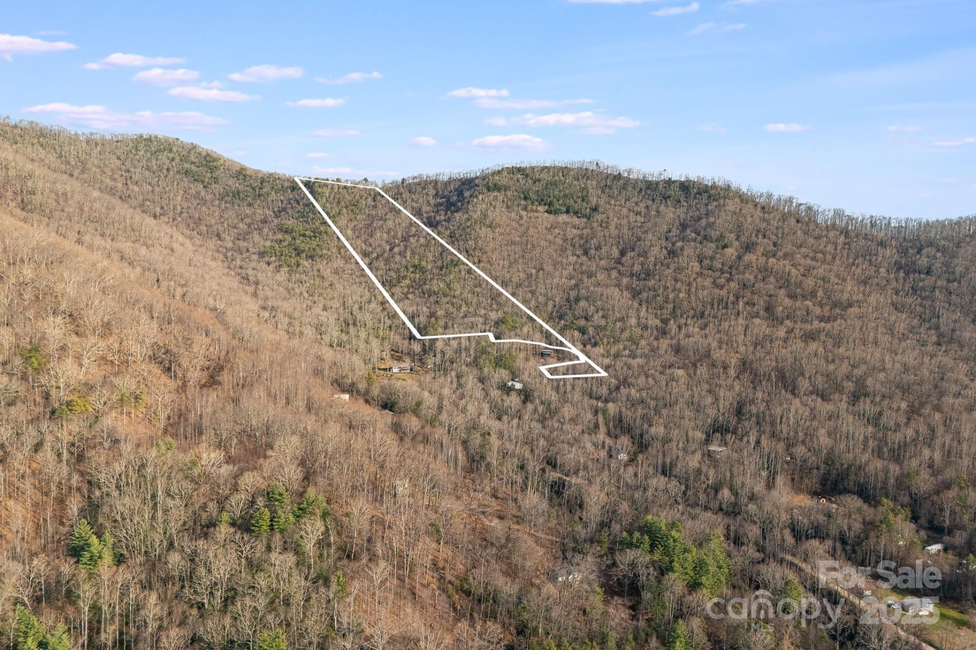 99999 Walker Mountain Lane - Photo 13