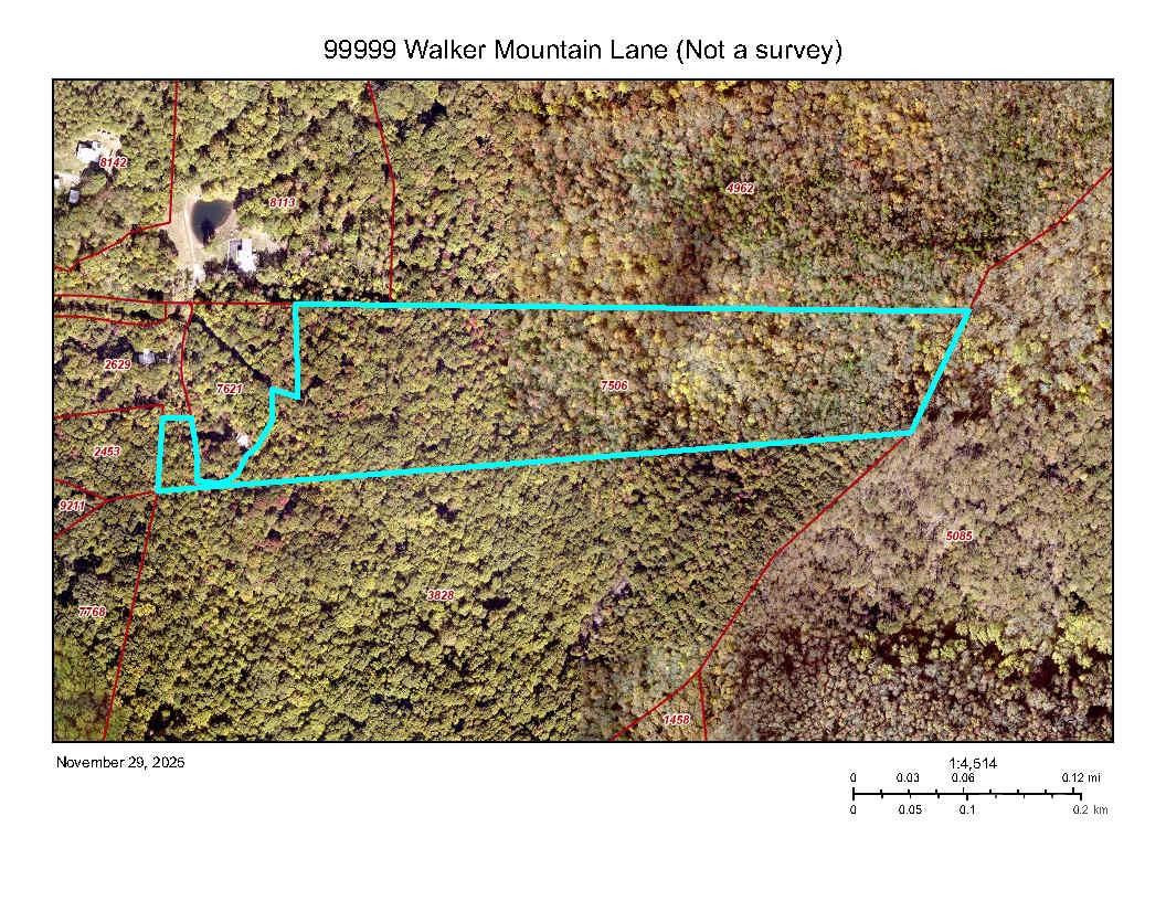 99999 Walker Mountain Lane - Photo 4