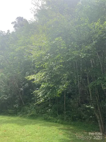 147 Splitrail Drive, Hendersonville, NC, 28792