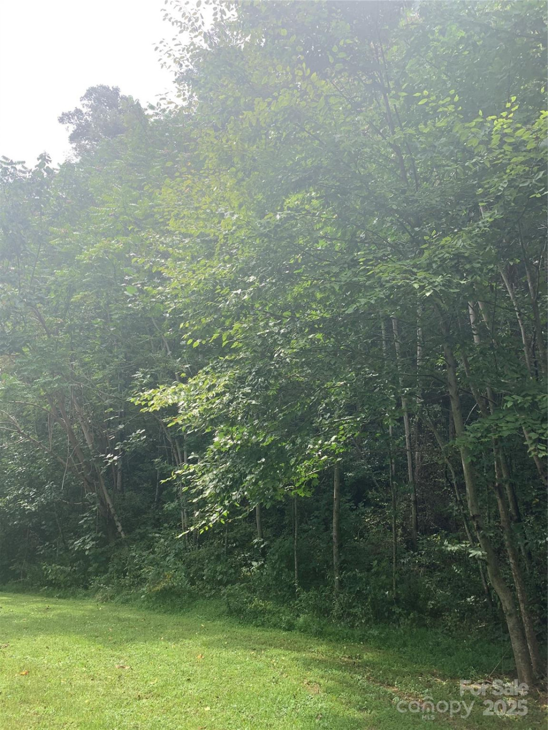 147 Splitrail Drive #5